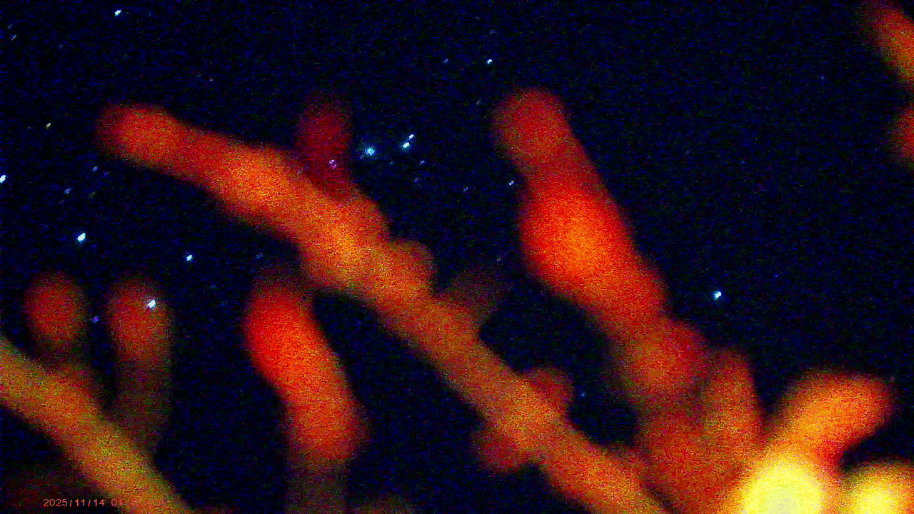 Cigman CNVPRO sample.