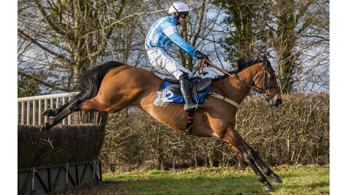 ChampionChaseHorseheath-IMAGE-P2P-GRAHAM-BISHOP-COMM1USE.jpg