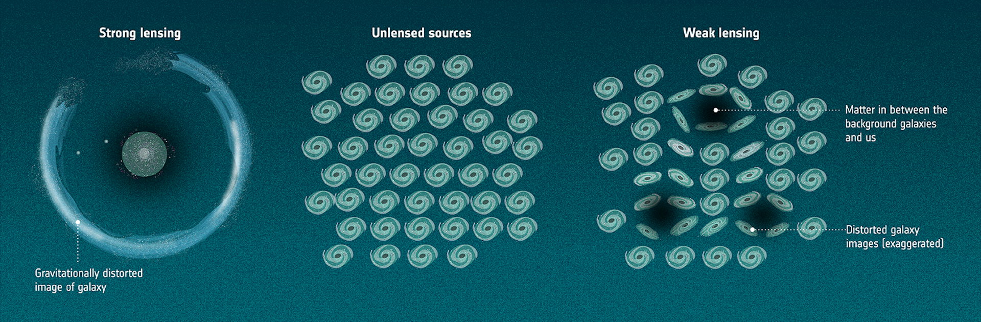 A blue/green graphic displays three sections. On the left, 'strong lensing' shows a textured green circle surrounded nearly all around by a blue ring. In the middle, several dozen swirly green galaxy icons in a cluster labeled, 'unlensed sources.' And on the right, 'weak lensing,' the same swirly icons in a cluster, but distorted on the inside of the cluster by three black smudges.