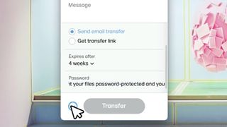 WeTransfer's options for security in a given transfer