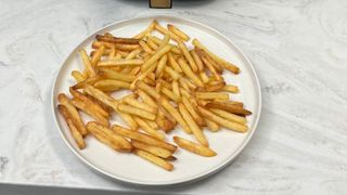Testing the Paris Rhone Air Fryer with fries