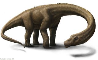 Dreadnoughtus illustration