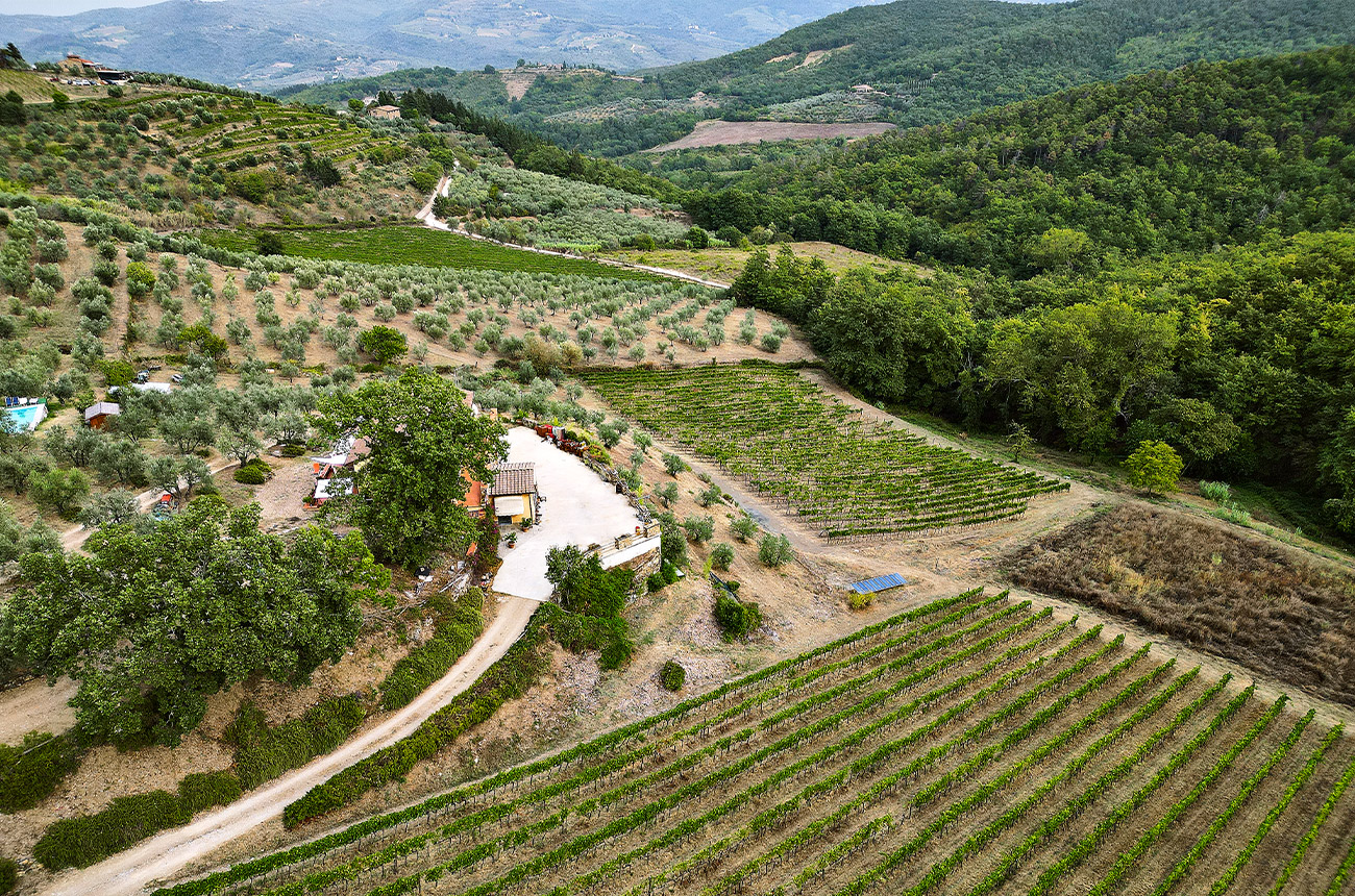 Isola delle Falcole's vineyards are in Greve in Chianti