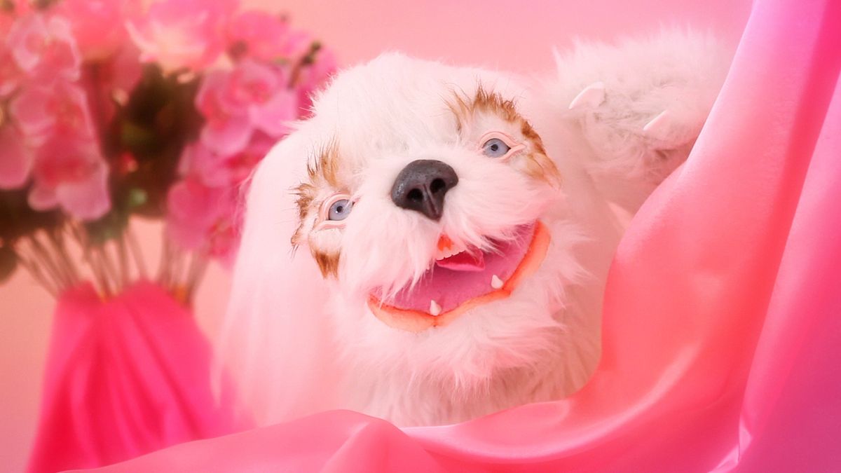 Julia and Ben&rsquo;s furry character in &ldquo;Nothing to Celebrate.&rdquo;