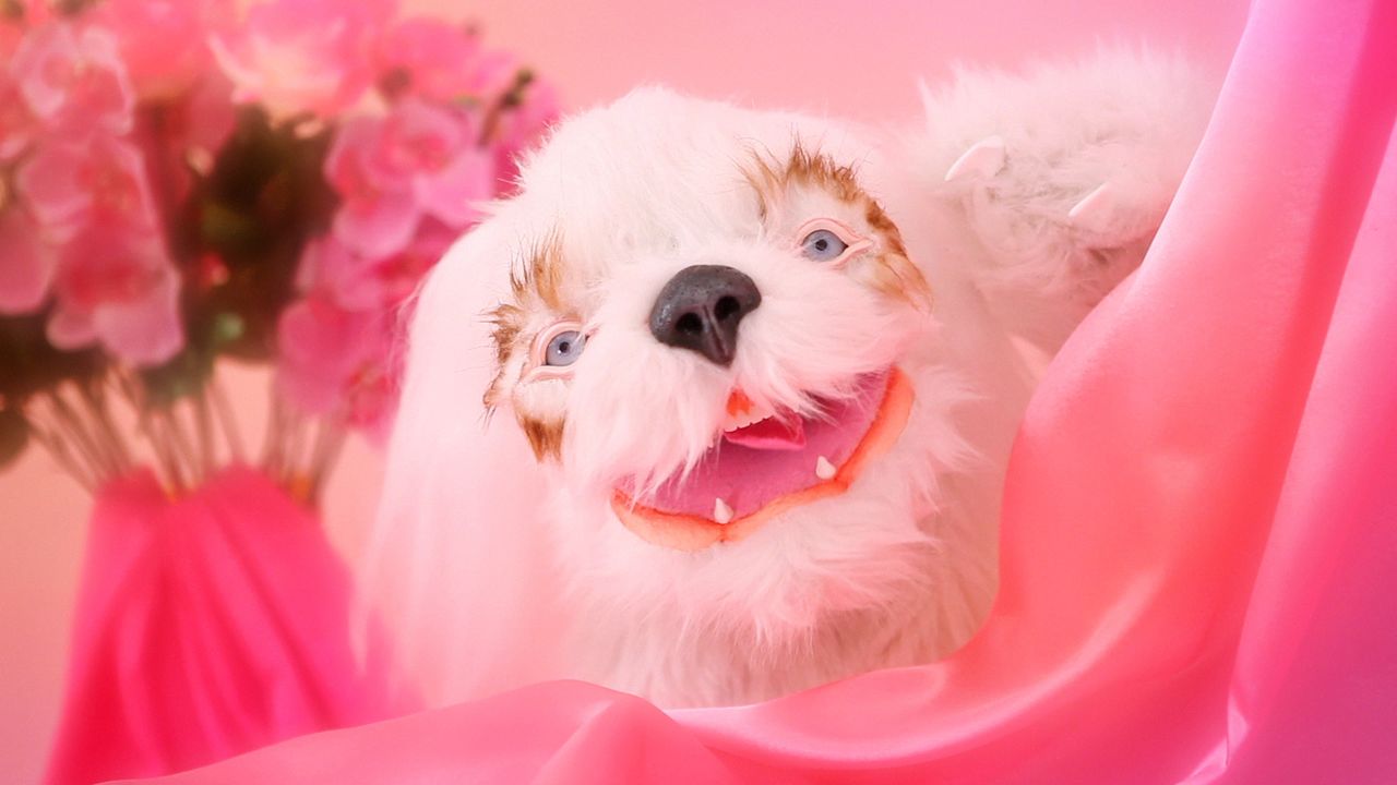 Julia and Ben&rsquo;s furry character in &ldquo;Nothing to Celebrate.&rdquo;