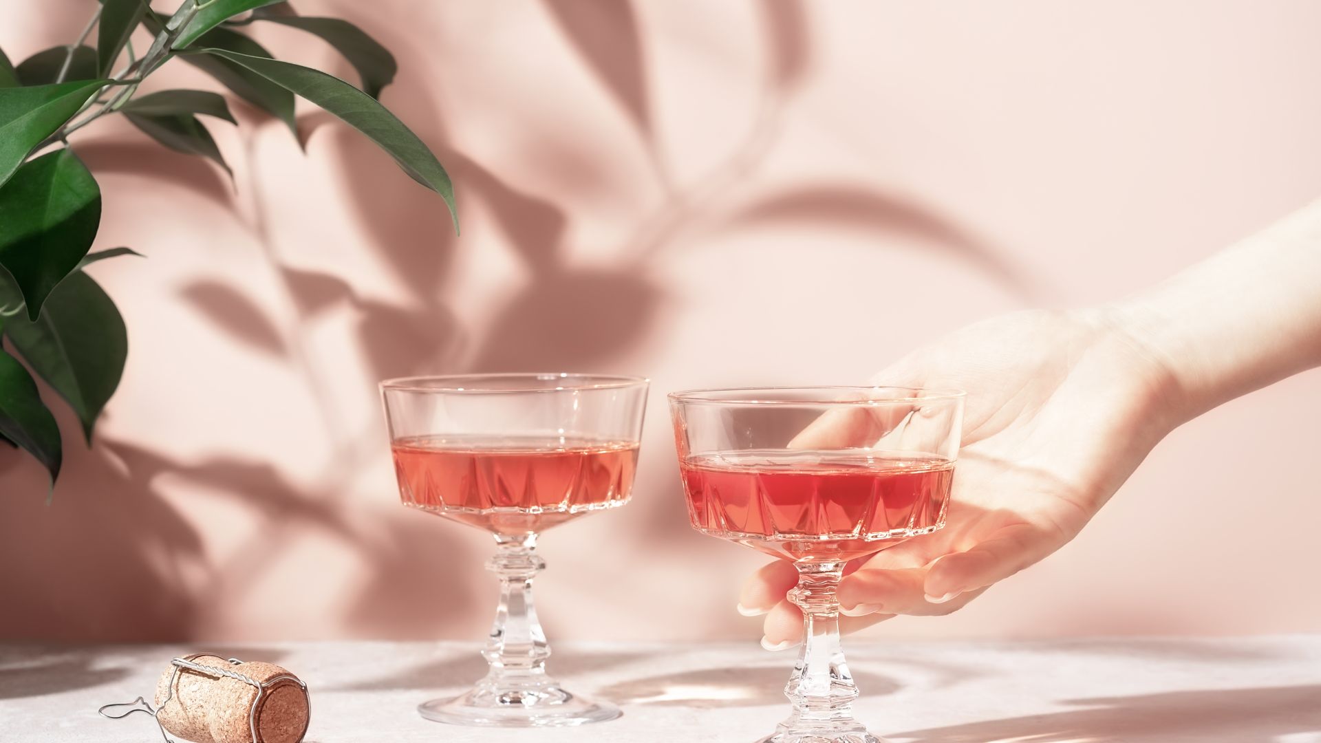 Sparkling rose