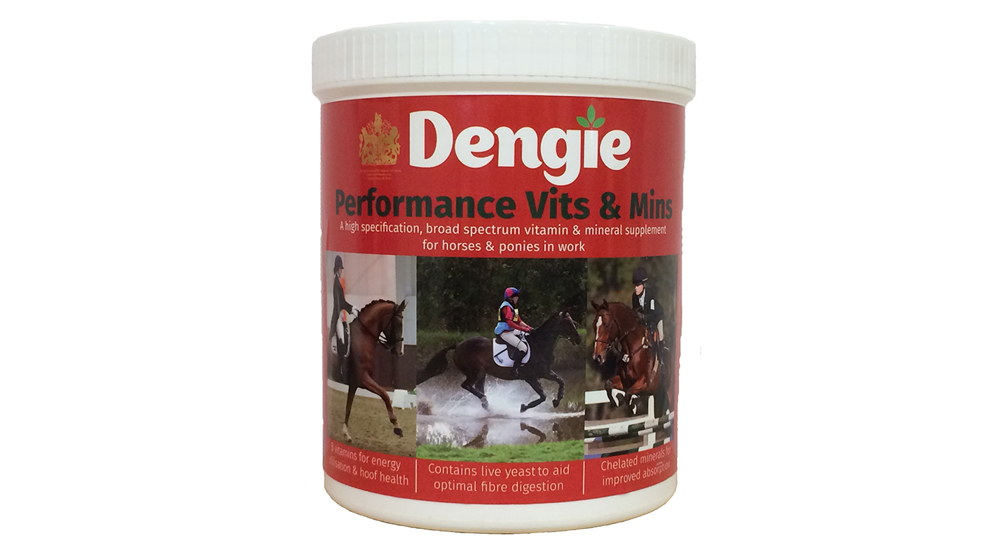 Dengie performance supplements for horses