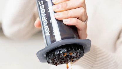 AeroPress coffee maker extracting coffee