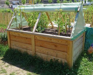 Converting raised bed into cold frame with plastic sheeting