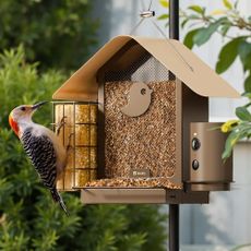 Birdfy smart feeder from Walmart