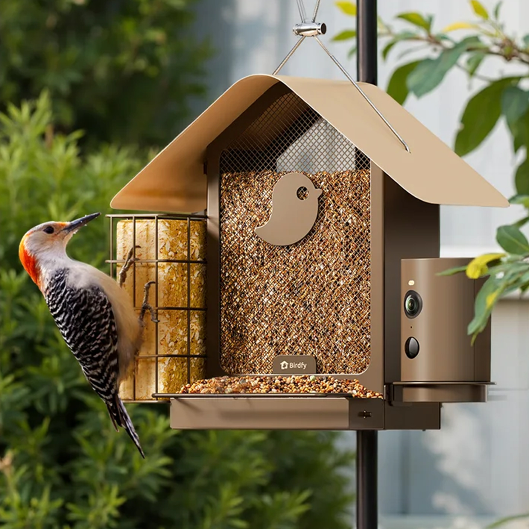 Birdfy smart feeder from Walmart