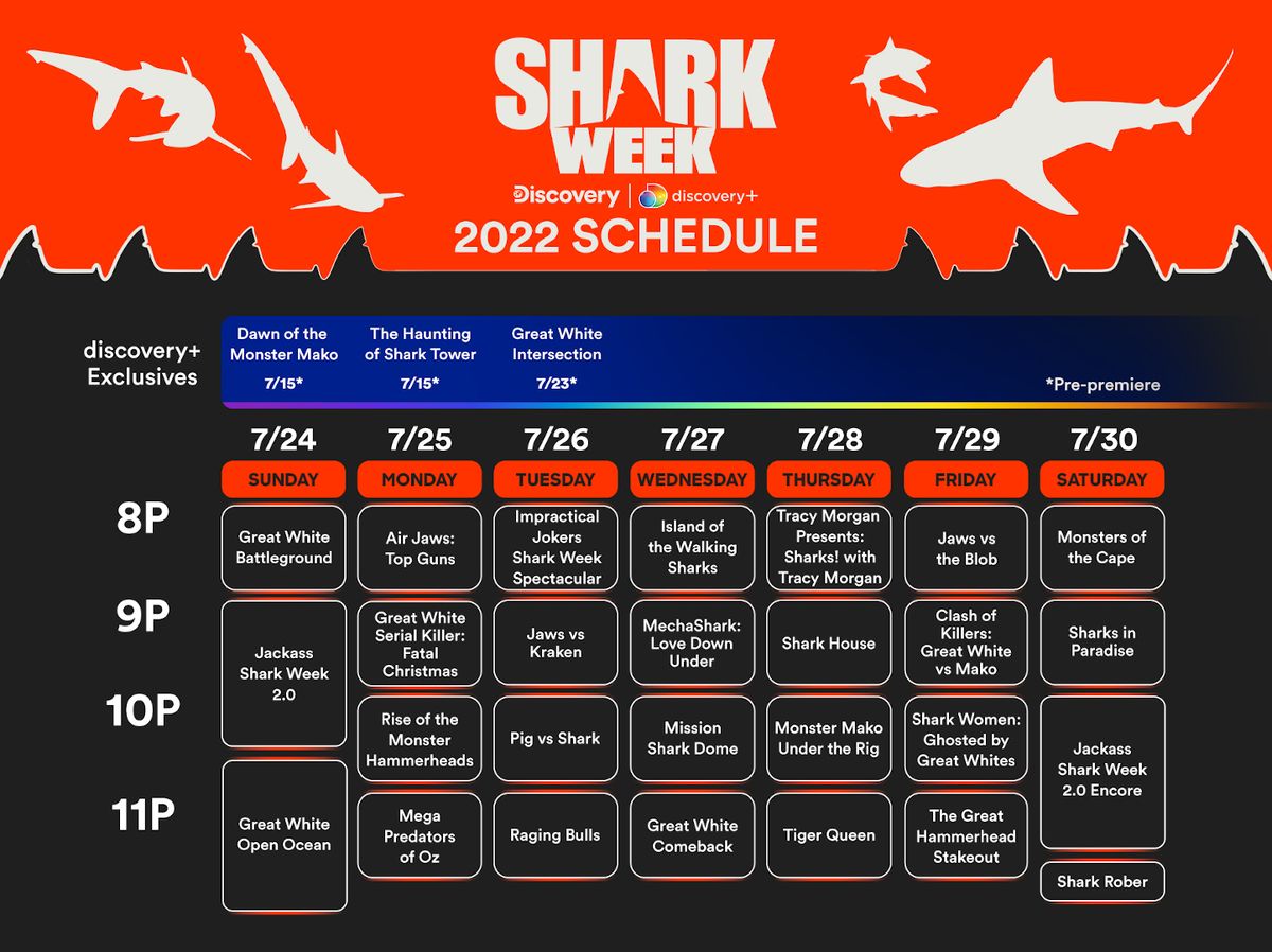 Shark Week streaming guide How to watch Shark Week 2022 Live Science