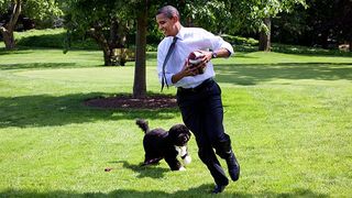 Barack Obama and his dog Bo