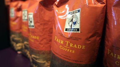 Fair trade coffee