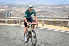 Van Rysel RCR - R bib shorts