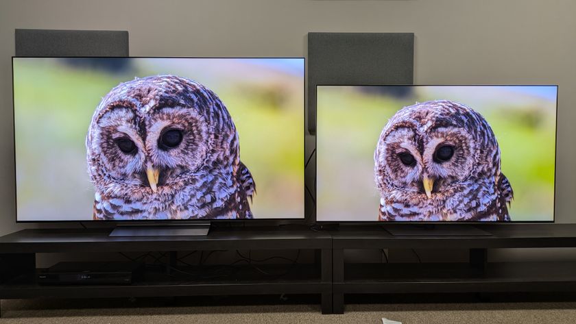 LG C6 (left) and LG G5 (right) with a shot of an owl on-screen. Both TVs deliver the shot with real precision and authenticity. 