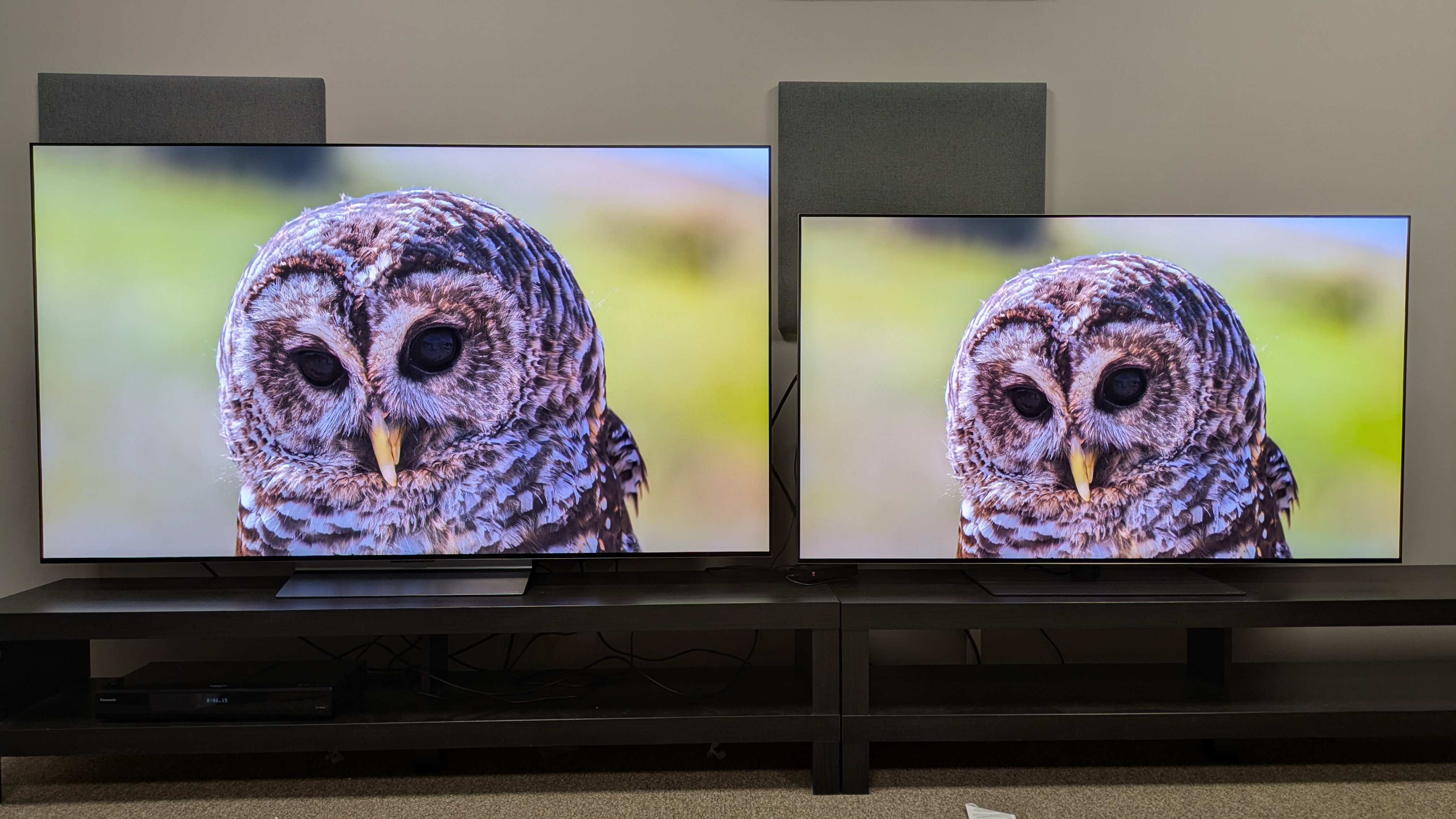 LG C6 (left) and LG G5 (right) with a shot of an owl on-screen. Both TVs deliver the shot with real precision and authenticity. 