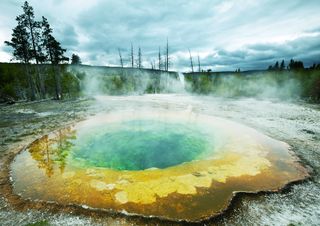 Morning Glory Pool hot spring in Yellowstone National Park.