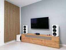 TV on acoustic wood panels