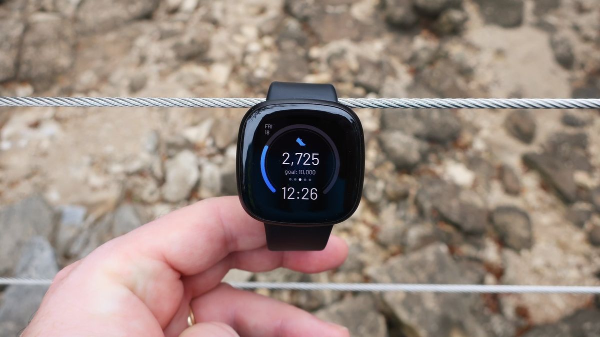 Fitbit versa 2 vs garmin hot sale vivoactive 3