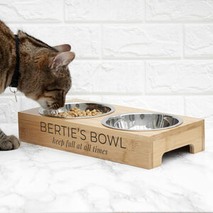 Personalised Bamboo Pet Bowl Set