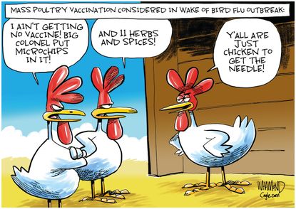 Bird flu | The Week