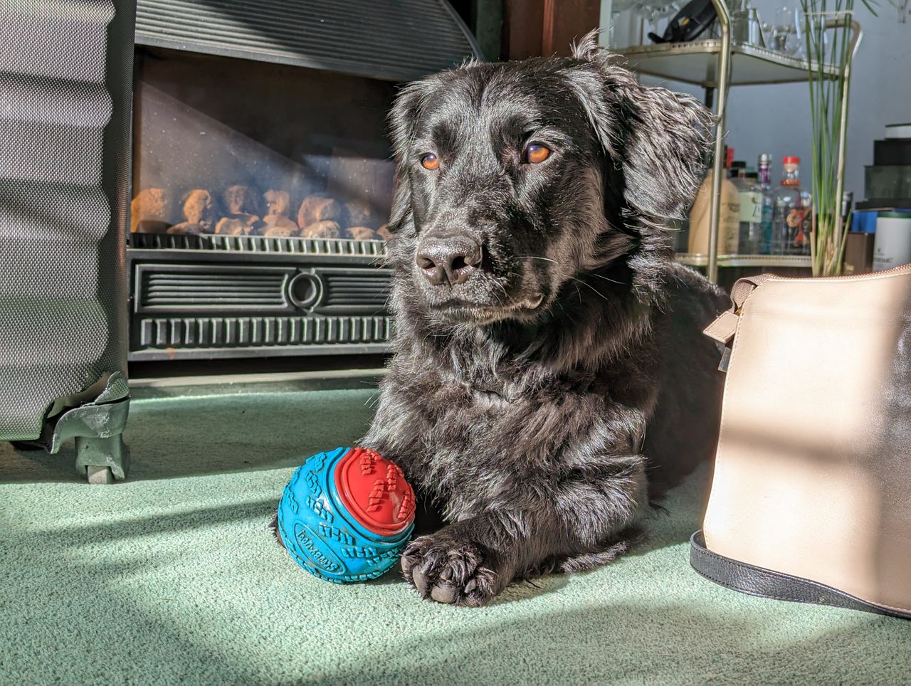 Google Pixel 7 Pro review camera samples