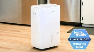 Black Friday dehumidifier deals