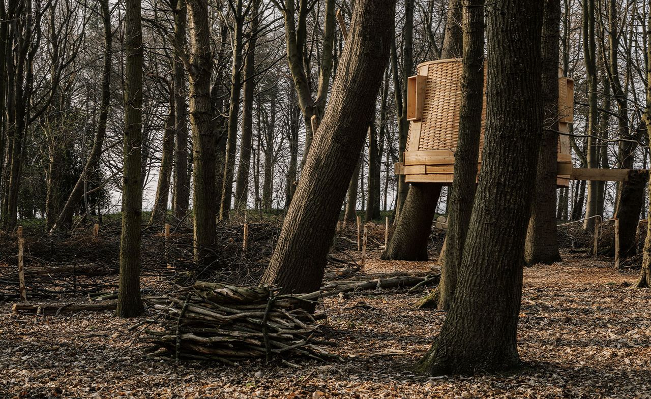 wooden viewing platform at Harewood House