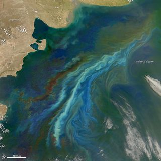 Off the coast of Argentina, two strong ocean currents stirred up a colorful brew of floating nutrients and microscopic plant life. The Moderate Resolution Imaging Spectroradiometer (MODIS) on NASA’s Aqua satellite captured this image of a massive phytopla