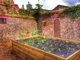 Raised beds for growing vegetables