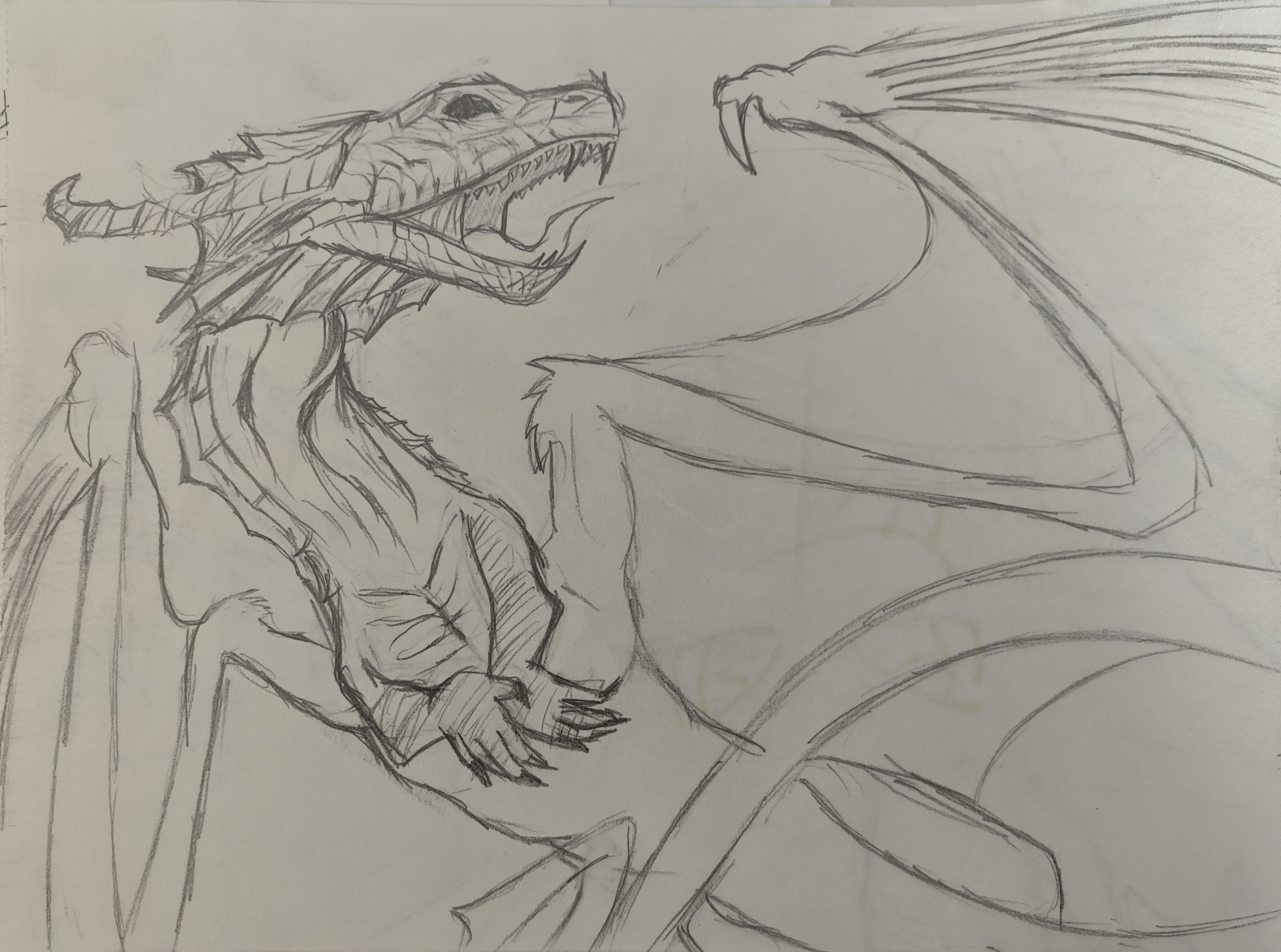 Inside the artist sketchbook; a pencil sketch of a dragon