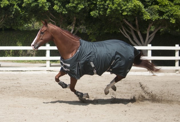 1.Kensington Platinum Turnout Range Exclusively From Online Retailers Shadow Horse