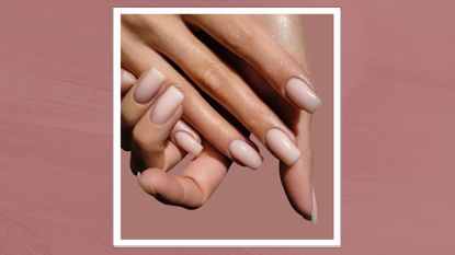 an image of a woman&#039;s hands with strong, healthy nails