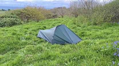 Vango F10 Neon UL1 review: tent set up in a field