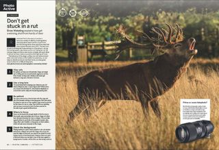 Photo project about photographing deer, from the October 2024 issue of Digital Camera magazine