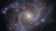 A swirl of purple and blue gas dotted with red stars moves around a central glowing core, blending together to make a giant spiral galaxy.