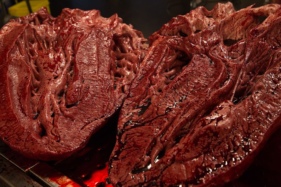 t rex autopsy