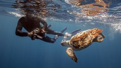 A man swimming underwater in diving gear, taking a picture of a turtle with one of the best underwater cameras