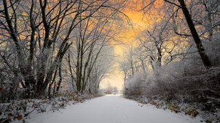 sunset in the snow