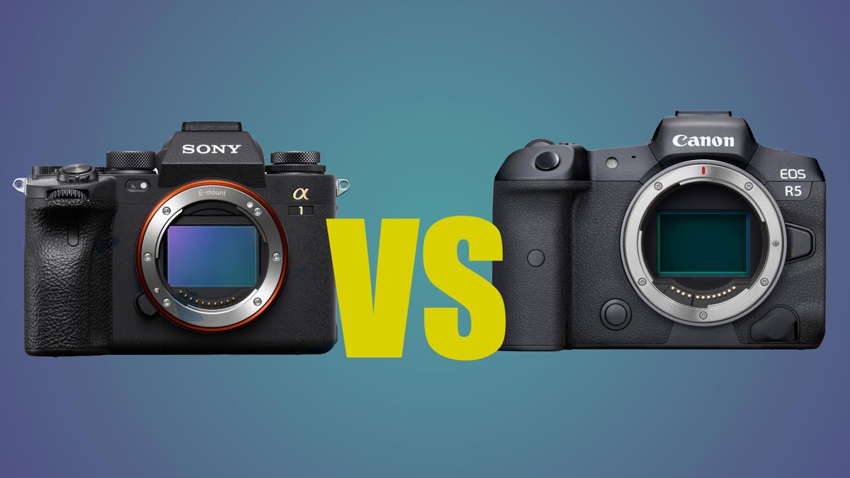 Sony A1 vs Canon EOS R5