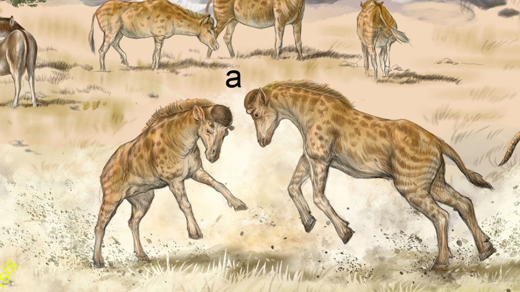  Short-necked giraffe relative discovered in China. It used its helmet head to bash rivals. 