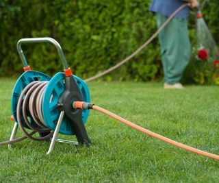 Hose reel with someone watering in the background