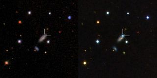 Left: Host galaxy of PTF11kx before the supernova exploded, as seen from the Sloan Digital Sky Survey. Right: The blue dot is the supernova near peak brightness, as seen with LCOGT's Faulkes Telescope North. Released Aug. 23, 2012.