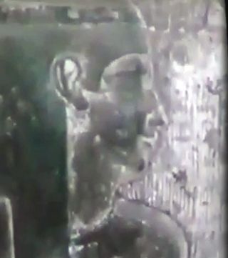 One of the works of art on the walls of the archaeological site that looters claim to be robbing. This is a still from a video sent, unsolicited. Video from Adam Ali Houssien