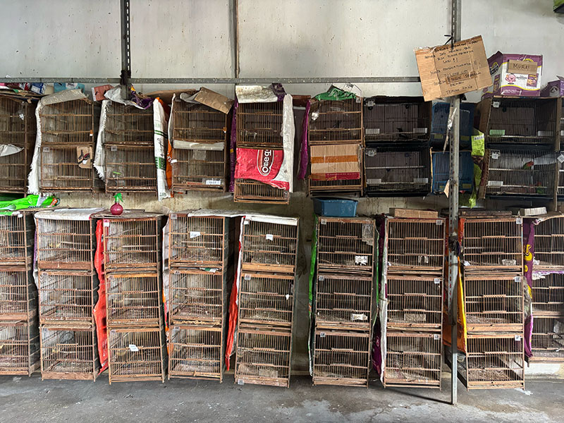 A series of crates piled on top of each other against a wall.
