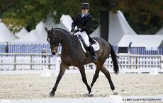 GBR-Simon Grieve (CORNACREW) INTERIM-10TH: CCI4* FIRST HORSE INSPECTION: 2015 FRA-Les Etoiles de Pau CIC2* (Thursday 22 October) CREDIT: Libby Law COPYRIGHT: LIBBY LAW PHOTOGRAPHY