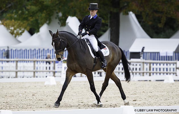 GBR-Simon Grieve (CORNACREW) INTERIM-10TH: CCI4* FIRST HORSE INSPECTION: 2015 FRA-Les Etoiles de Pau CIC2* (Thursday 22 October) CREDIT: Libby Law COPYRIGHT: LIBBY LAW PHOTOGRAPHY