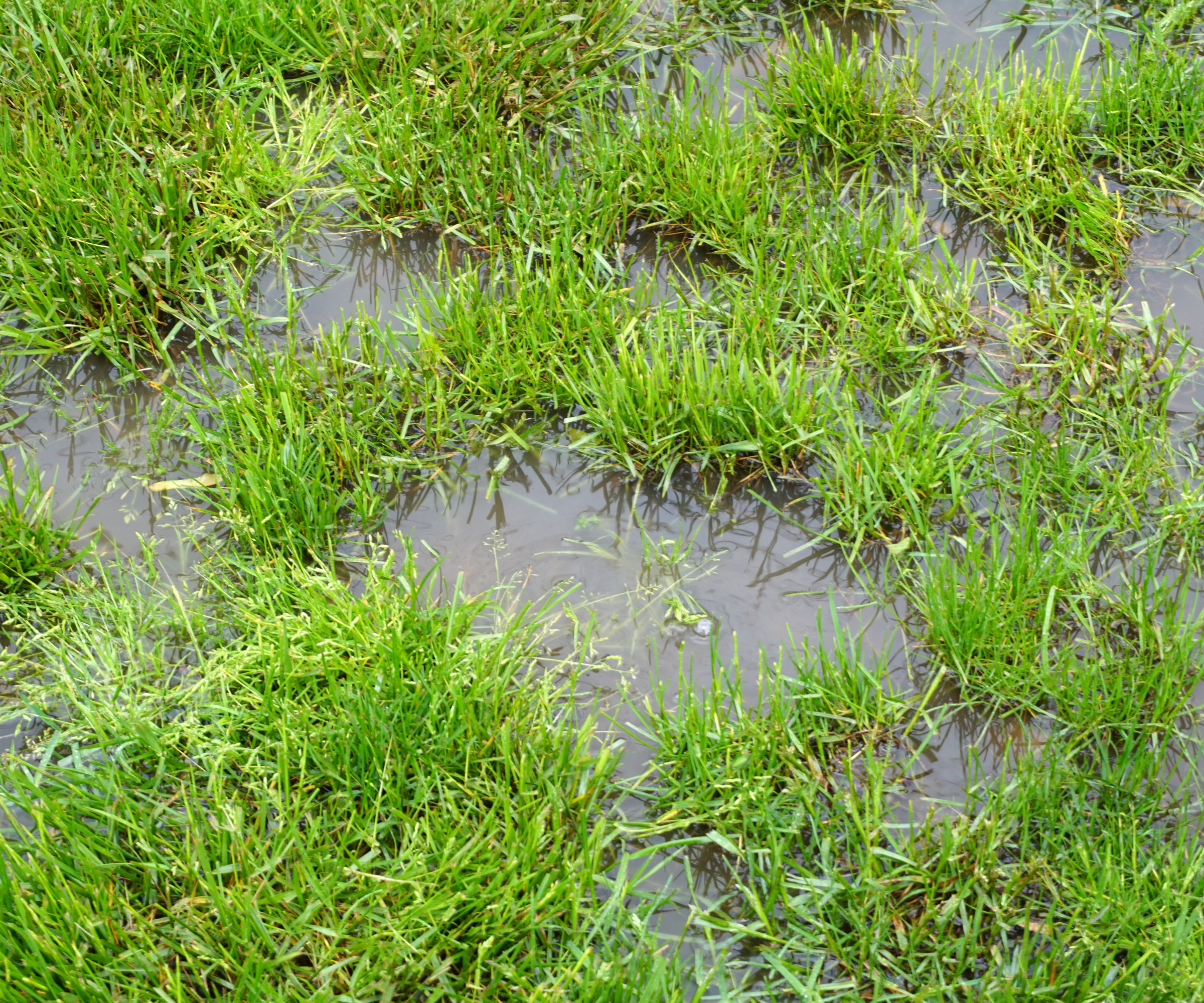 section of waterlogged lawn with puddles