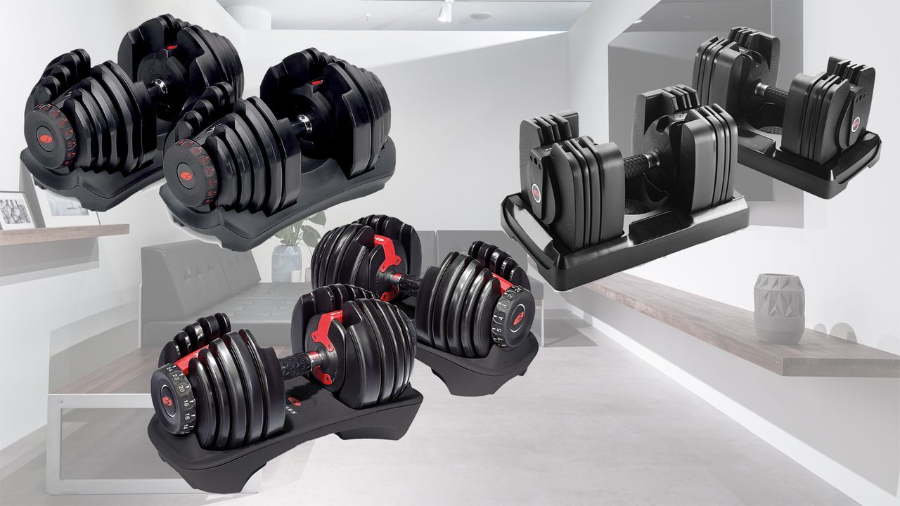 Bowflex Selecttech dumbbells home gym 